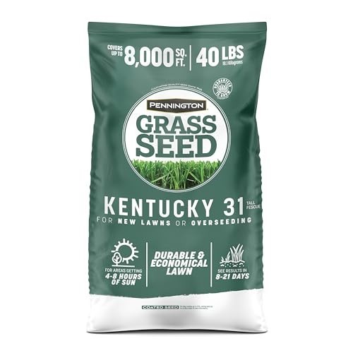 Grass seed kentucky tall - kentucky,