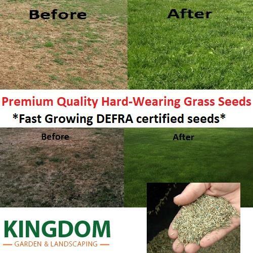 Grass seed hard wearing - hard, lawn