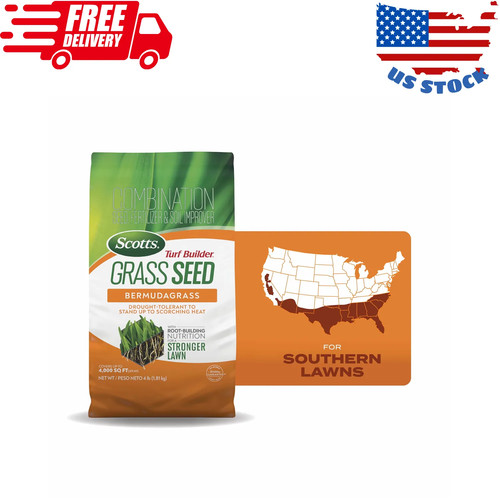 Bermudagrass grass seed lbs - seed,