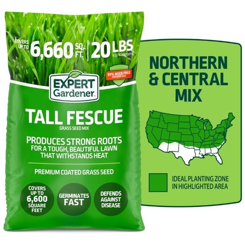 Tall fescue grass - tall,