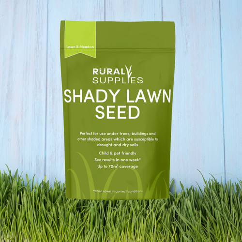 High quality shady area - area, lawn