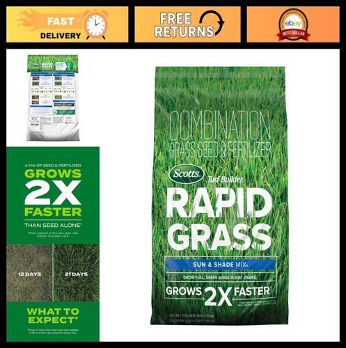 Rapid grass seed - seed, for