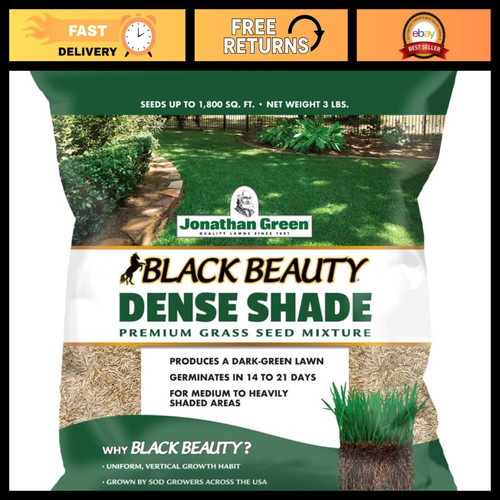 Dense shade grass seed 3 - seed,
