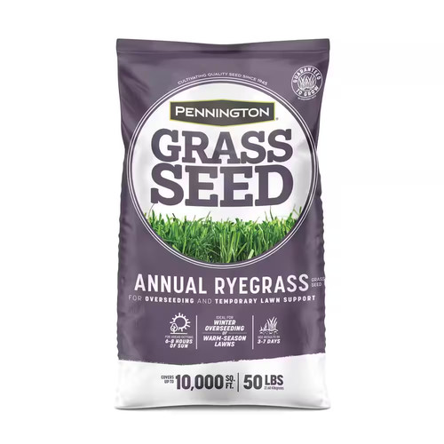 Annual ryegrass lbs 10 000 - annual, 10,000