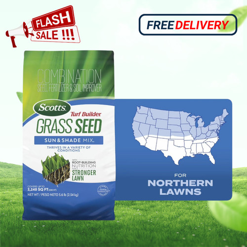 Scotts turf builder - turf,