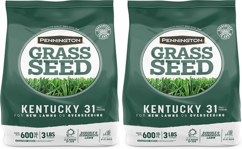Fast grow grass seed - fast,