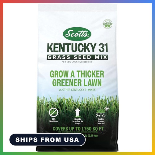 Kentucky grass seed mix - kentucky, 31