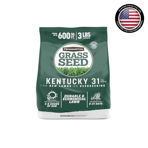 Tall fescue grass - tall, 3