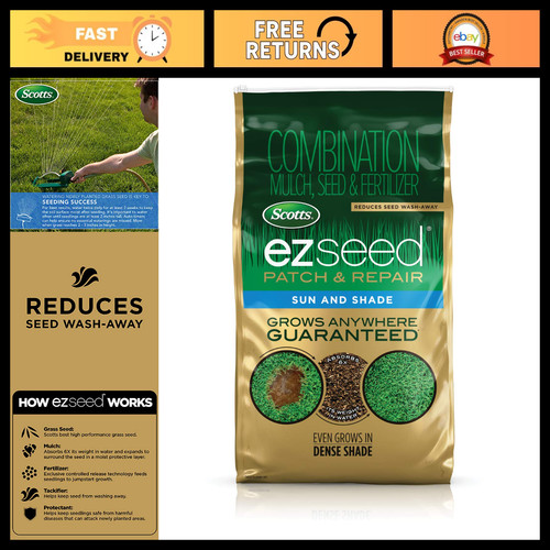 Lawn repair seed - lawn,