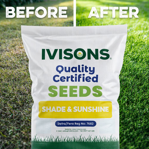 Ivisons grass seed for shaded - grass,