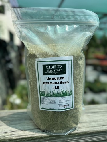 Bermuda grass seed - bermuda, 5