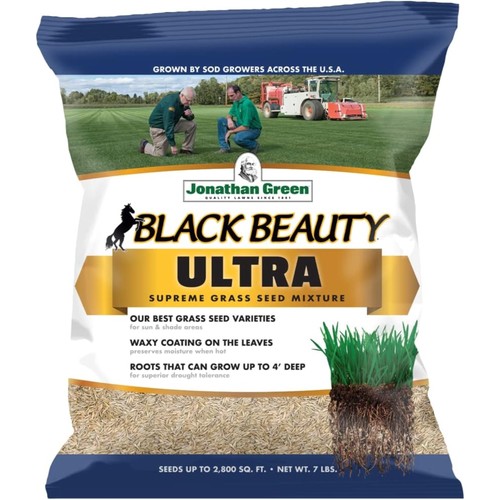 Jonathan green black beauty - jonathan,