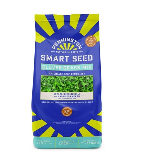 Smart seed clover grass - grass,